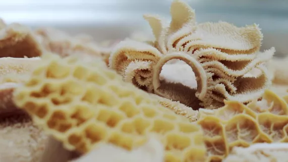 Very good tripes Very good tripes