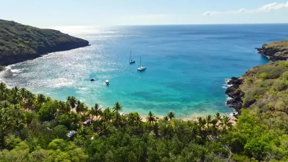 Les Marquises, un rêve de voyageur (Les 100 lieux) Les Marquises, un rêve de voyageur