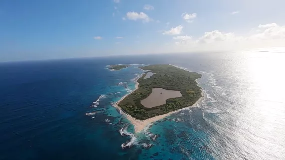 La vie sauvage des monuments aux Petites Antilles