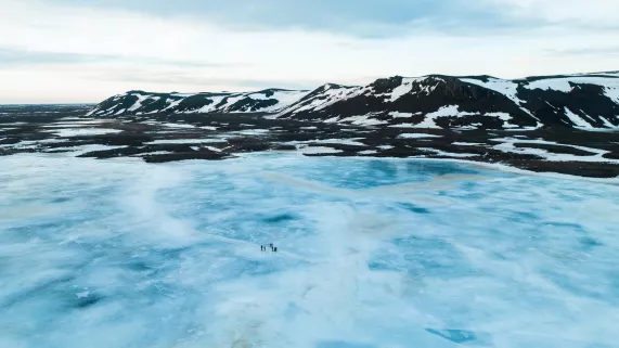 Sur les traces du plus ancien ADN