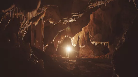 Chauvet, voyage aux origines