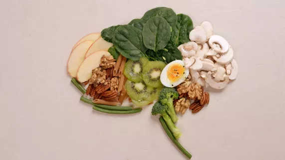 Les pouvoirs de l'alimentation sur notre cerveau