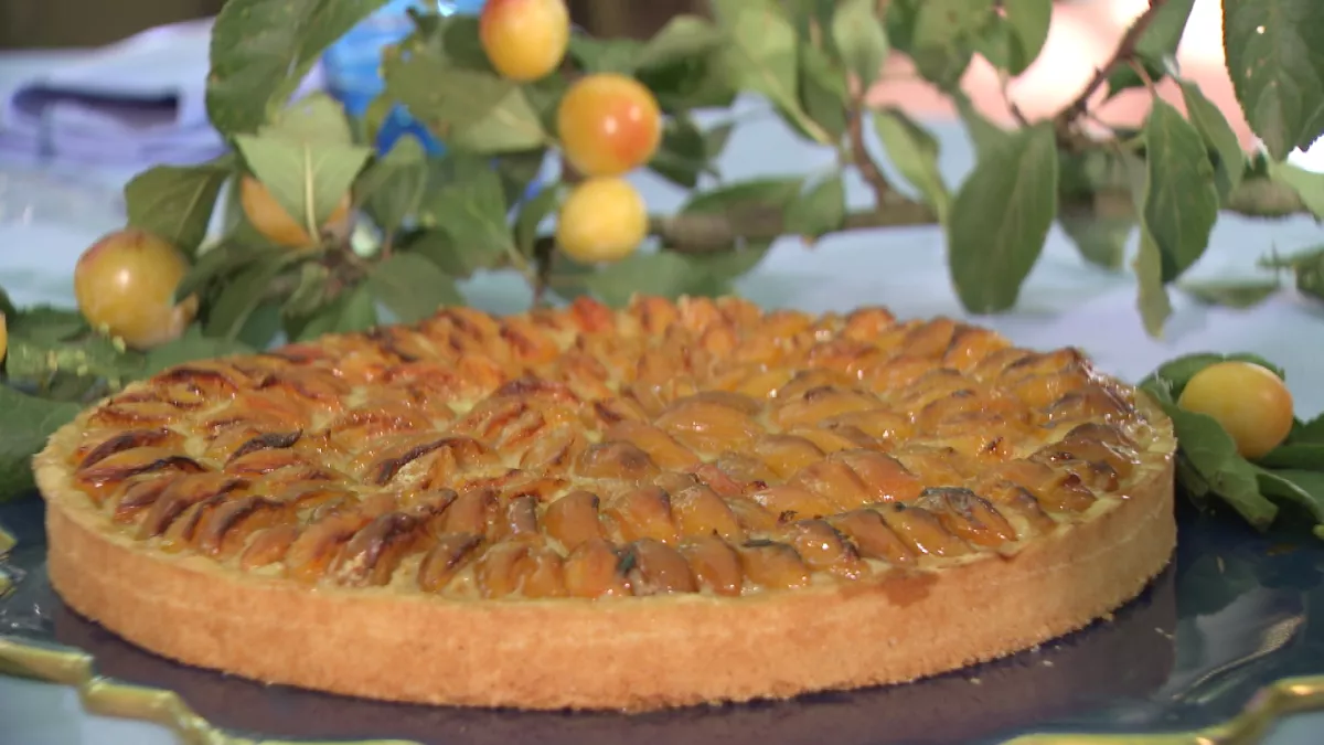 Le temps des mirabelles