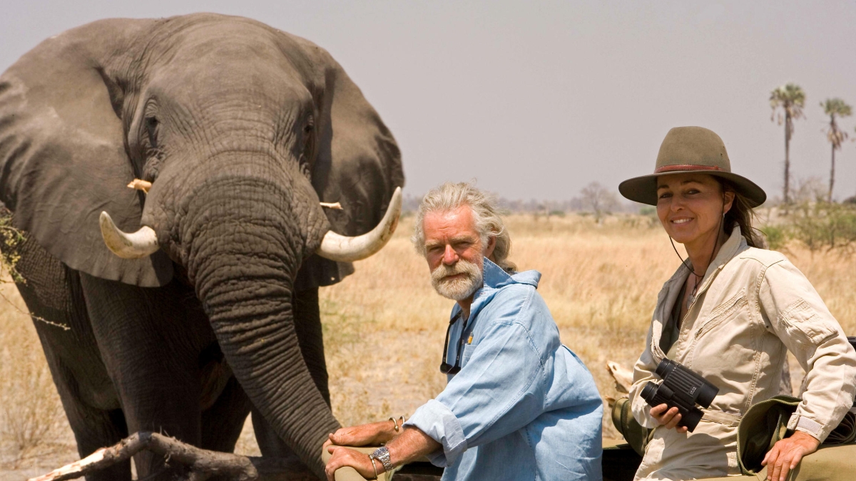 L’âme des éléphants