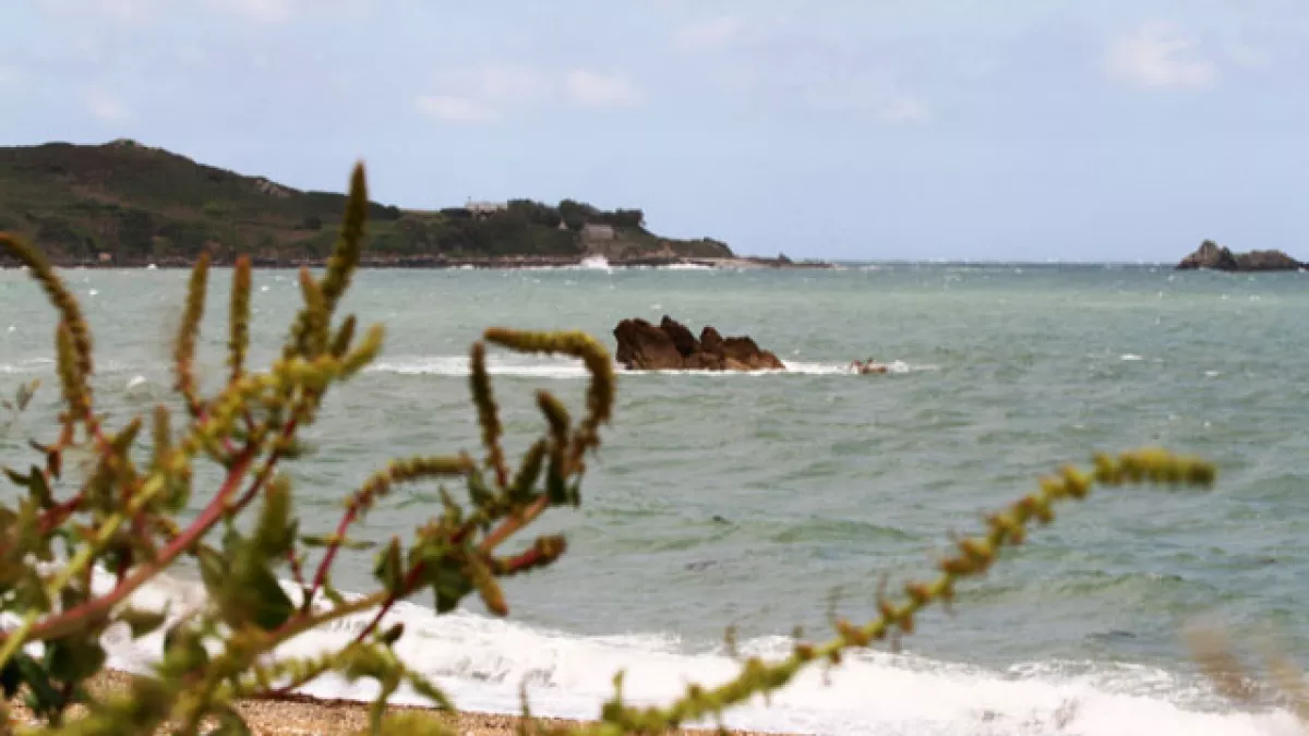 La petite Irlande