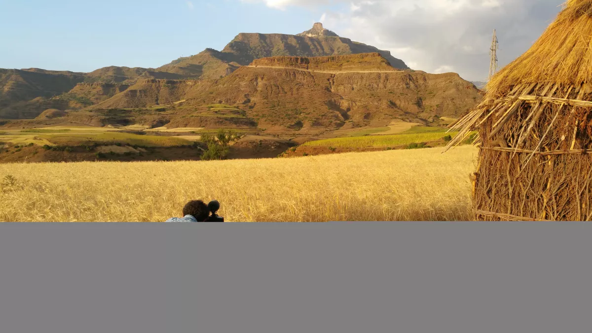 © BO TRAVAIL ! ETHIOPIE, LE PAYS DES ORIGINES