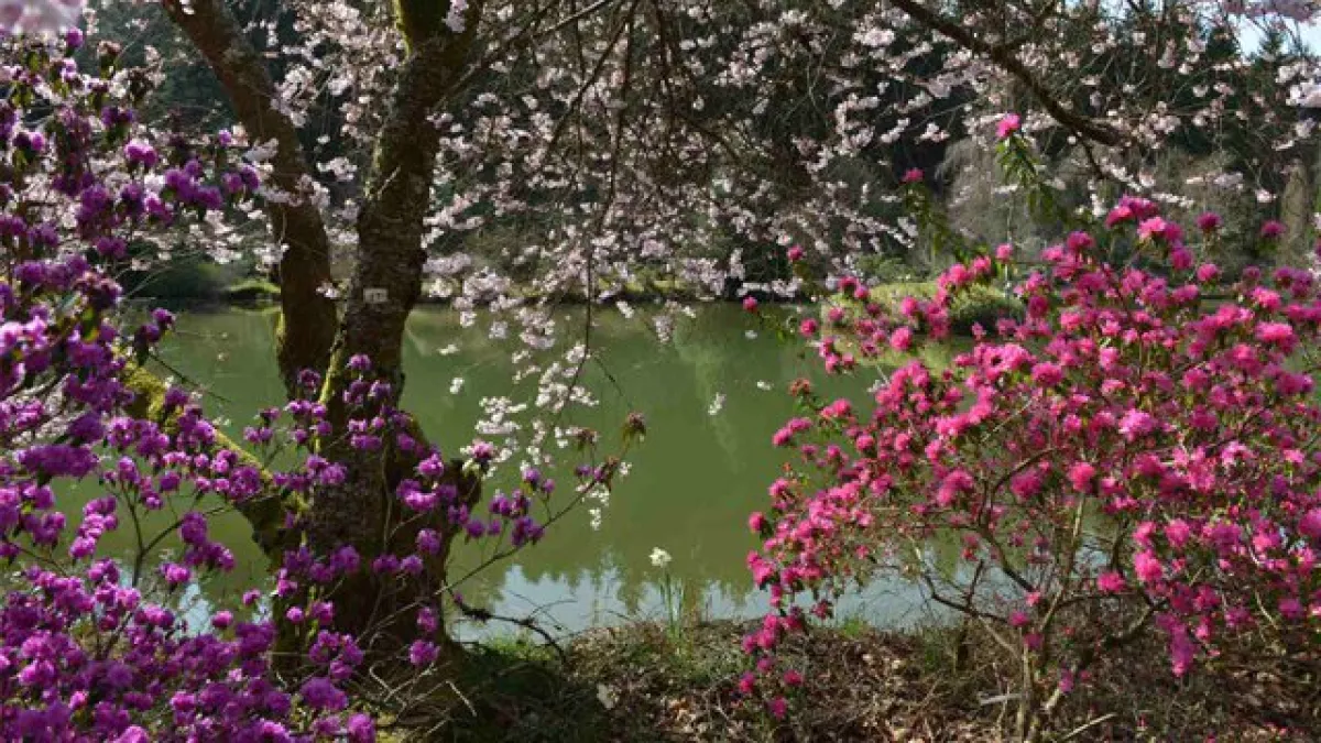 PCPL Les jardins extraordinaires des Vosges