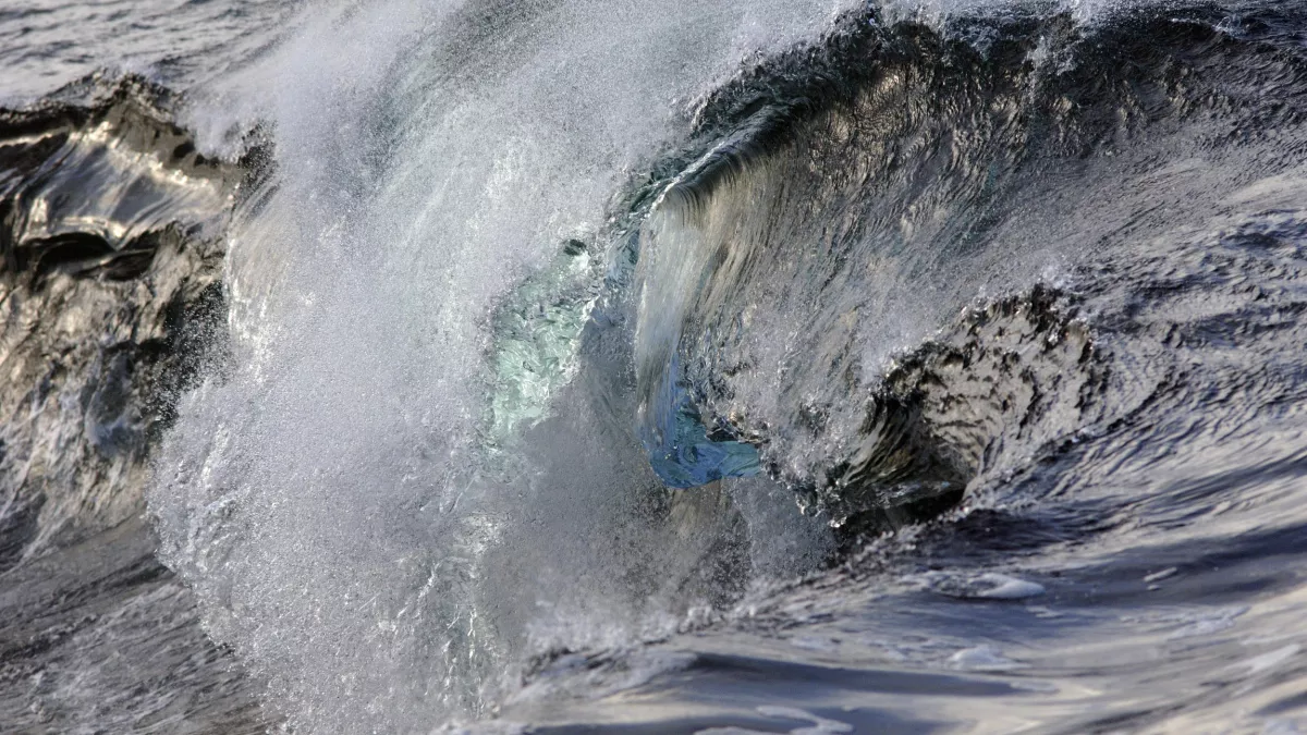 © BBC Worldwilde France CAP SUR L'ATLANTIQUE