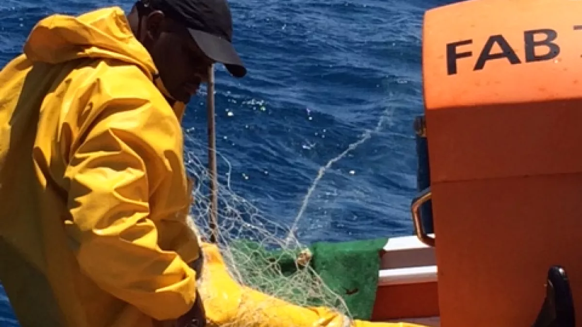 D'ILS EN ÎLES Xavier marin pêcheur