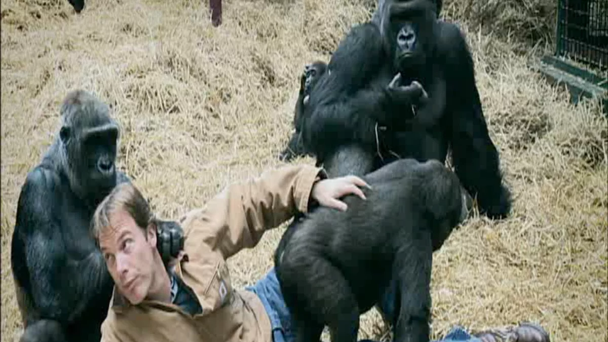 © Oxford Scientifique Films COMPLICITES ANIMALES