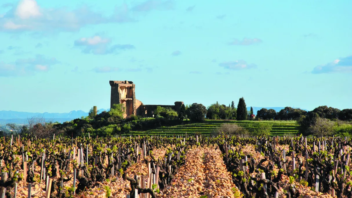 Châteauneuf-du-Pape