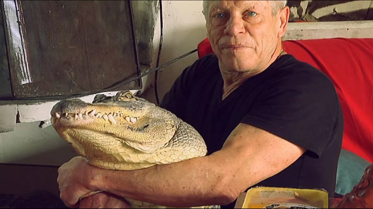 Fous d'animaux Fous d'animaux