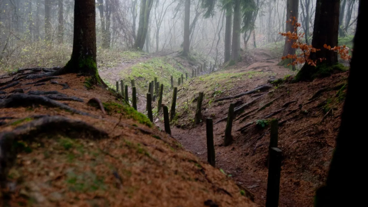 Tranchées - © Jean-Philippe Tranvouez