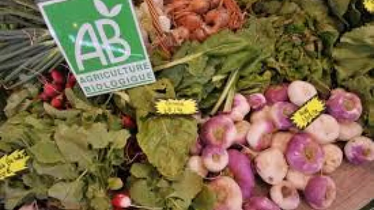 © droits réservés /légumes biologiques légumes biologiques