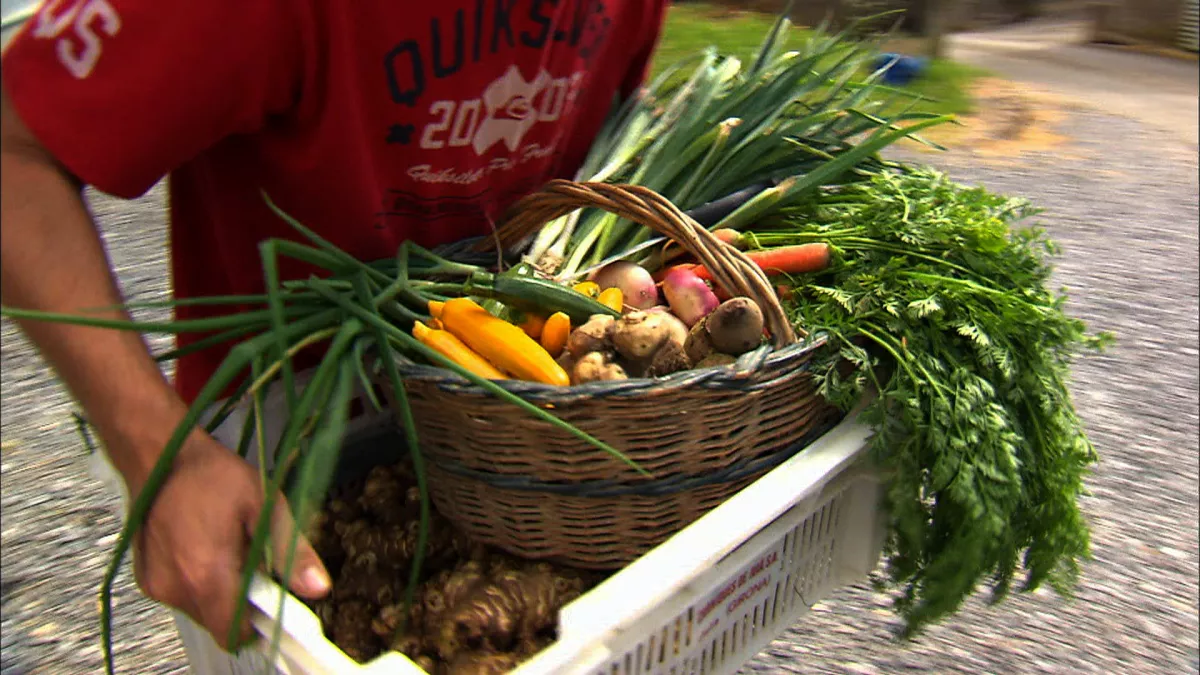 un marché un marché bio
