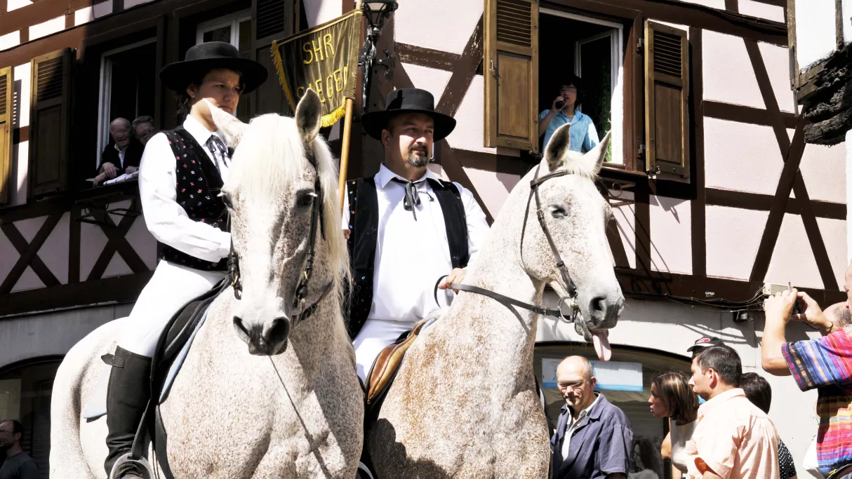 PCPL Wissembourg, les chevaux à la fête - crédit Hanami production PCPL Wissembourg, les chevaux à la fête