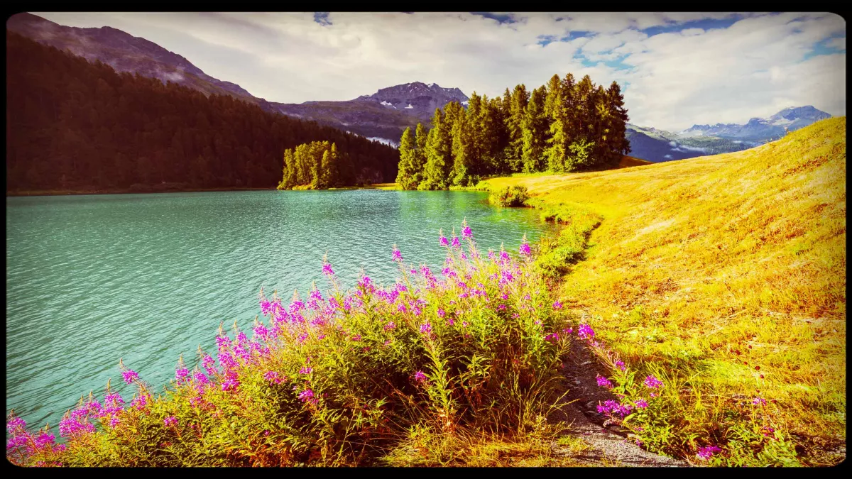 © Andrew Mayovskyy / Stock Eté 2016, paysage de lac de montagne sous le soleil