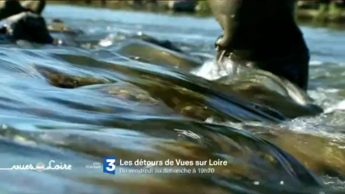 Les détours de Vues sur Loire Les détours de Vues sur Loire