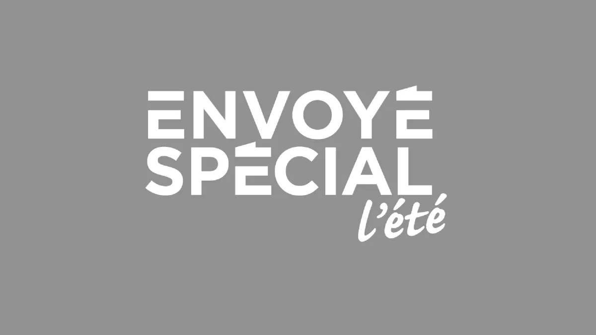 logo envoyé spécial ©ftv