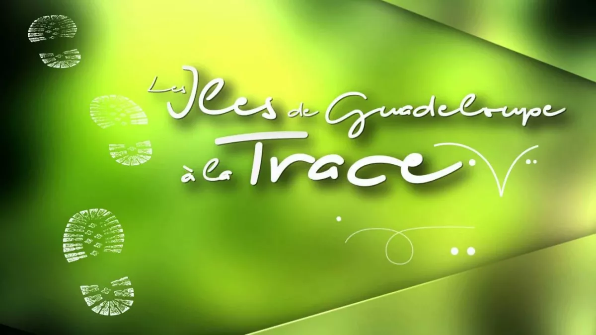 LES ÎLES DE GUADELOUPE A LA TRACE visuel de l'émission @corpoartproduction