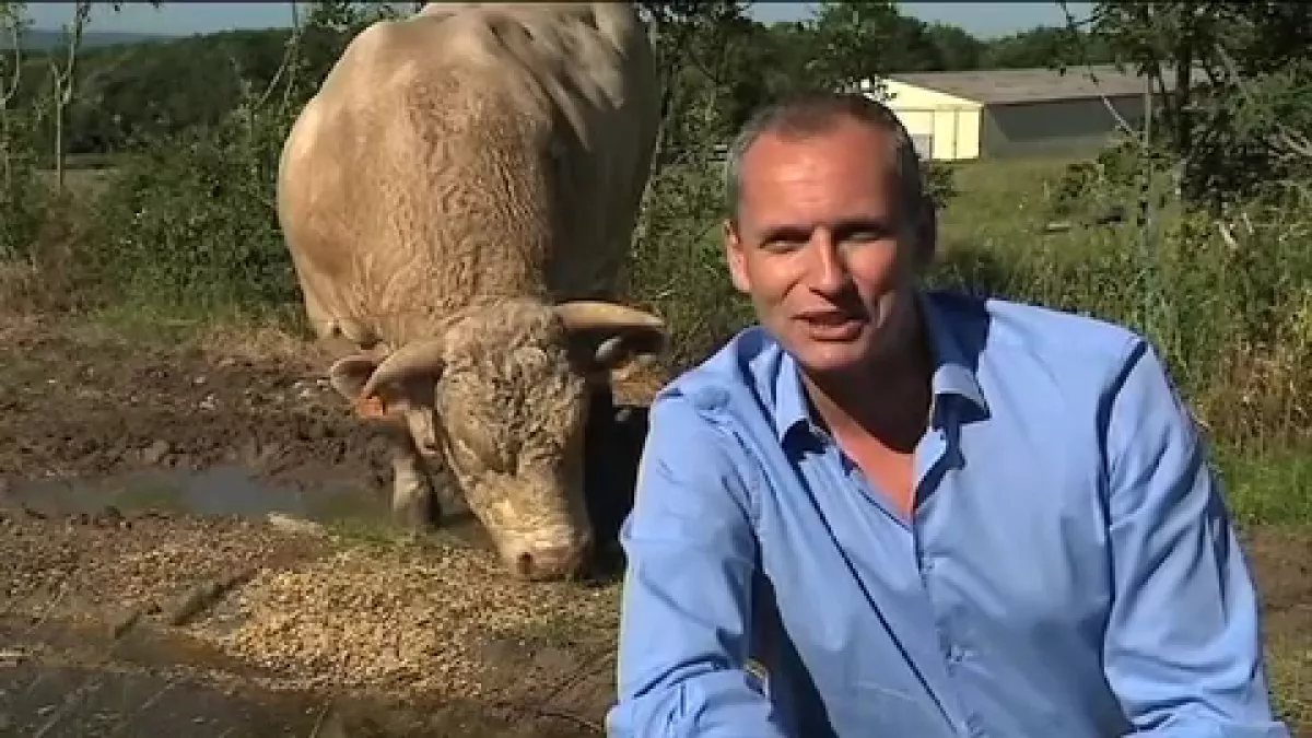 Louis Laforge de retour chez Viviane, éleveuse dans le tourmente de la crise Louis Laforge de retour chez Viviane, éleveuse dans le tourmente de la crise agricole, 9 mois après