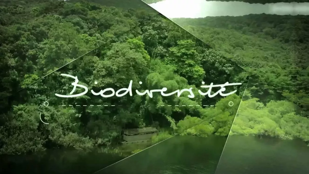 Les îles de guadeloupe à la trace @corpoartproduction la biodiversité