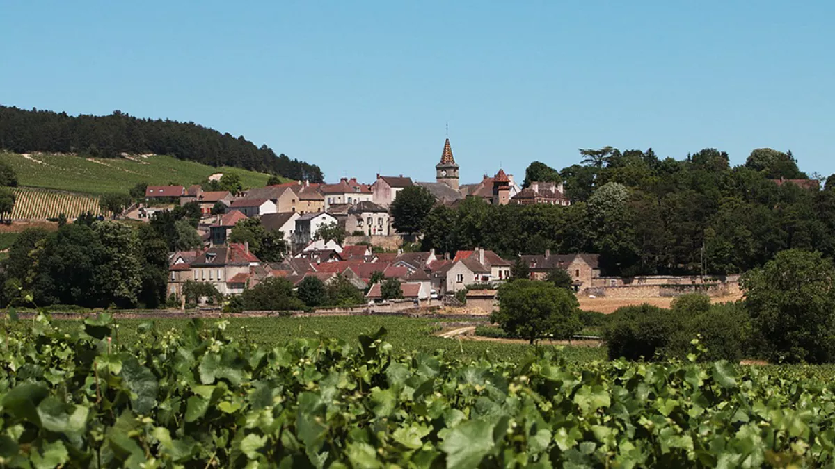 Paysage de Bourgogne Paysage de Bourgogne