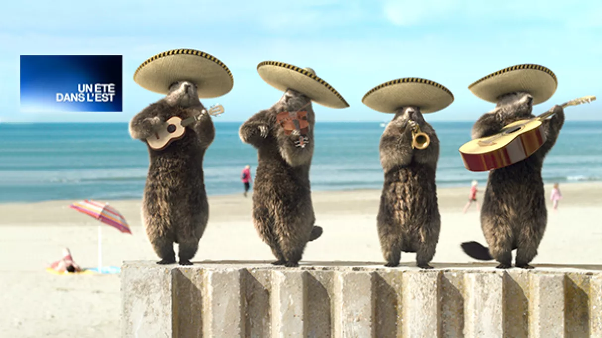 Un été dans l'Est avec habillage estival - crédit FTV Un été dans l'Est avec habillage estival