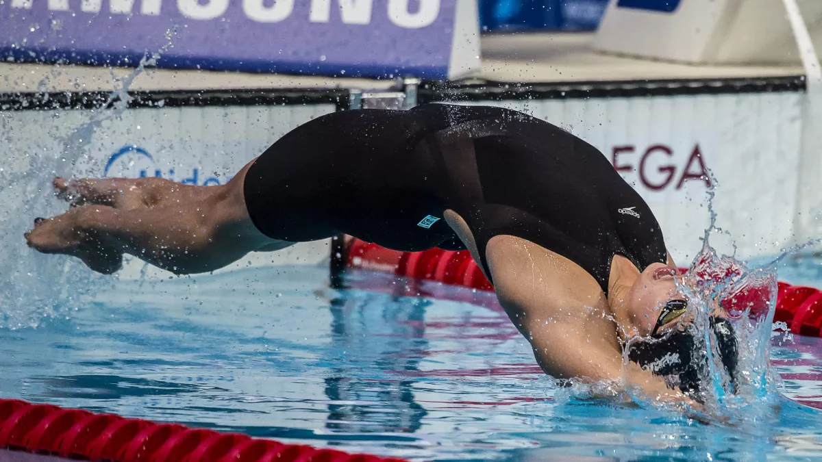 Natation Plongeon natation