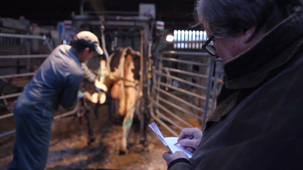 Z’azimut Films et France 3 Bourgogne