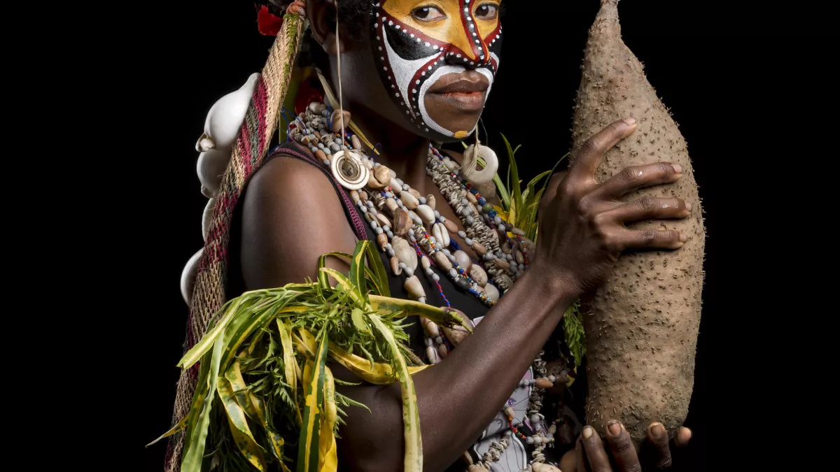 © Dominique Roberjot / Latitude 21 Pacific YAM QUAND L'IGNAME RACONTE LES HOMMES