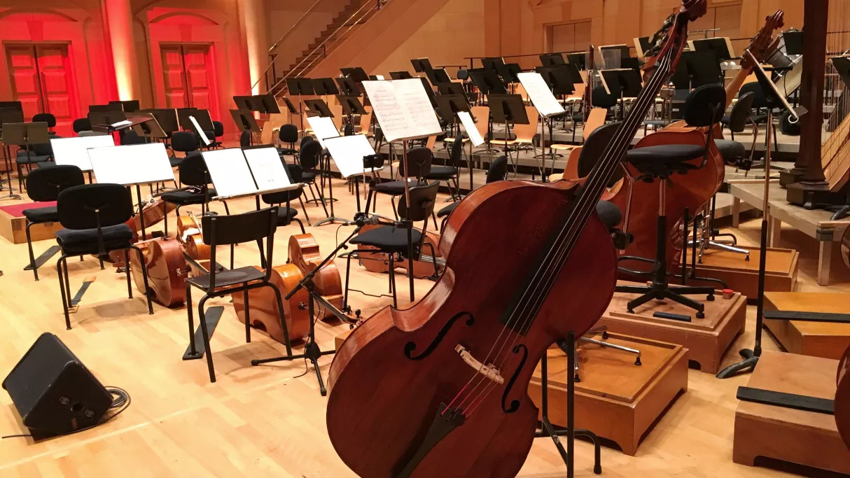 Ma vie de contrebasse