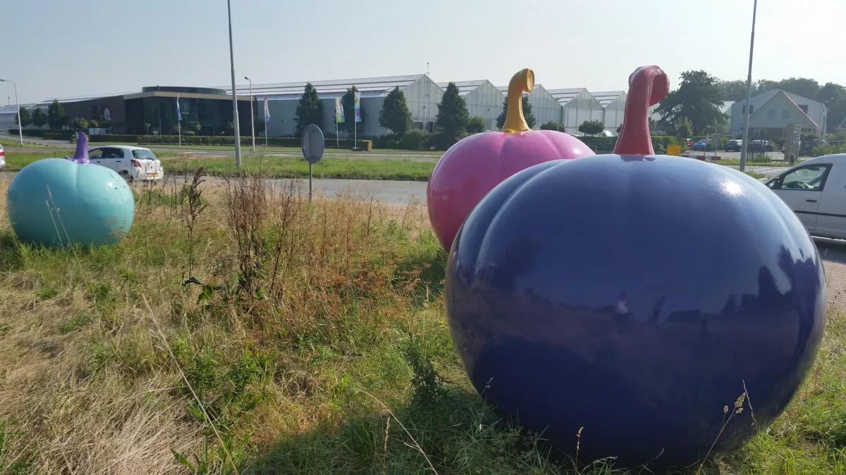 © FTV AVENUE DE L'EUROPE - tomates géantes aux Pays-Bas