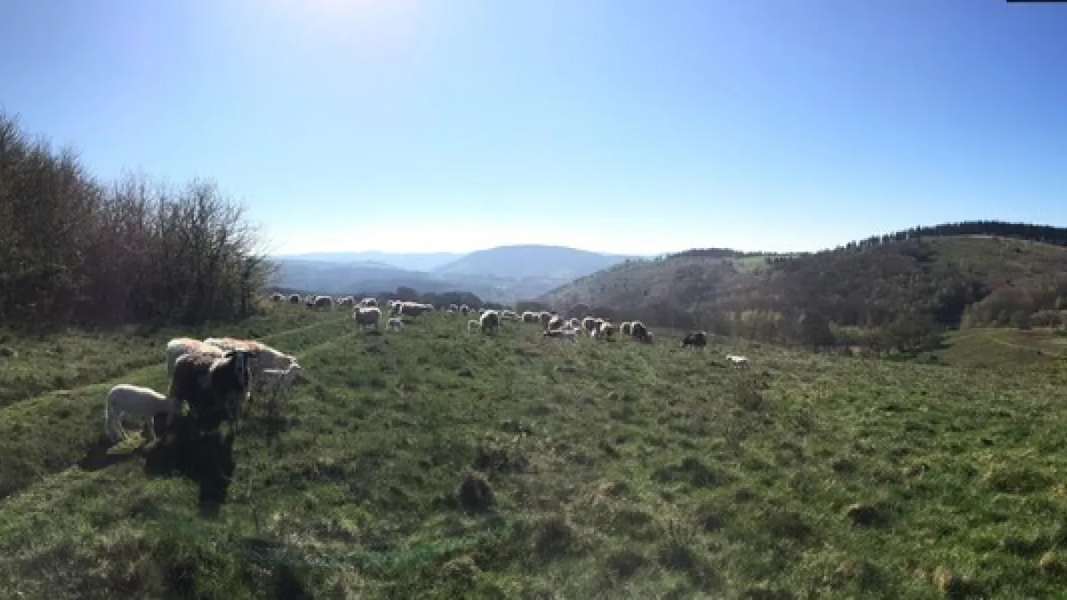 Corrèze Corrèze