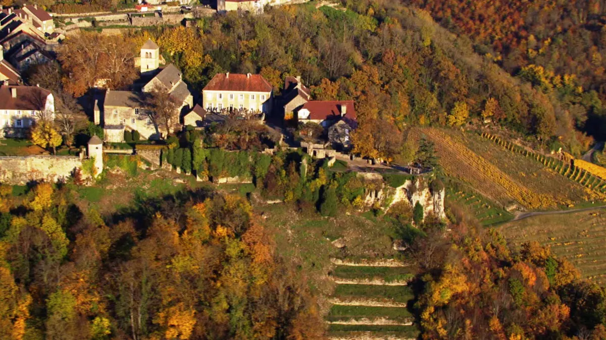 © CAPA DES RACINES & DES AILES - Le vignoble de Château-Chalon