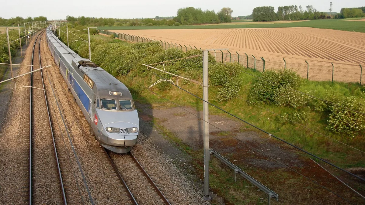 Train