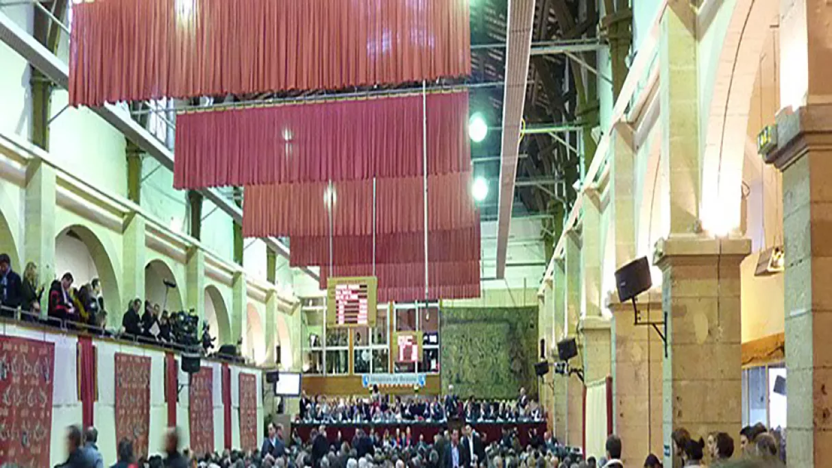 Vente des vins des Hospices de Beaune 2016