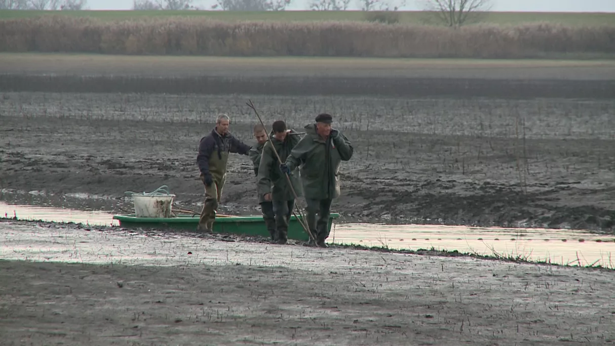 PCPL Au pays des étangs - Le lindre et le Stock 