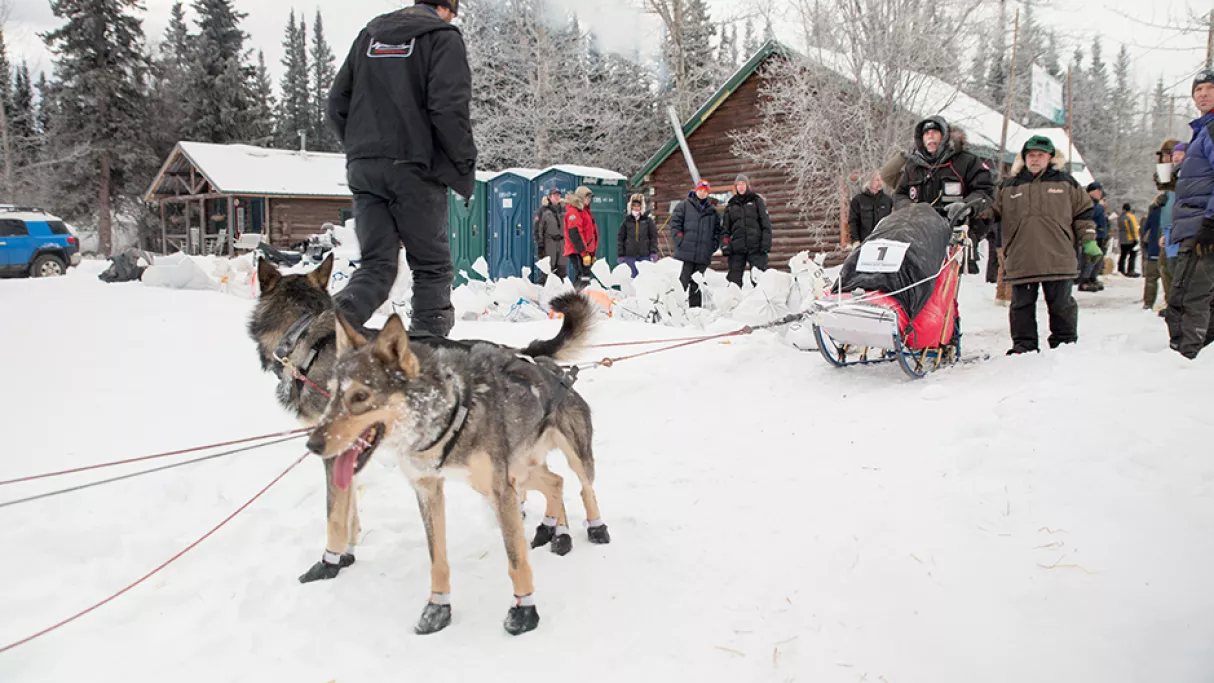 Le traineau du destin