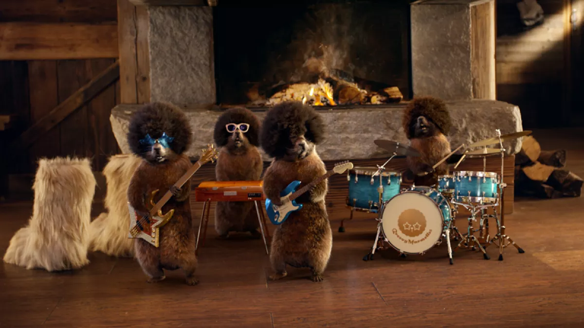 Habillage marmottes Habillage marmottes