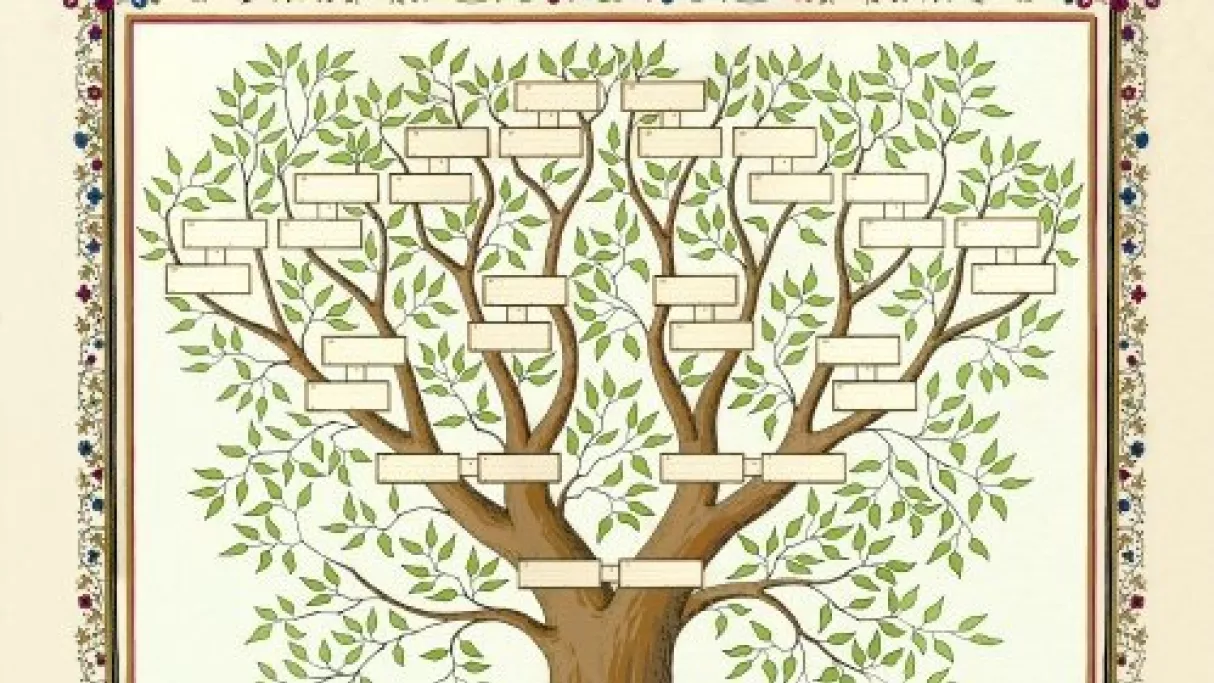 Arbre généalogique