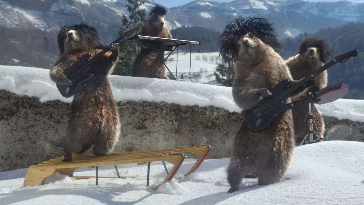 Marmottes