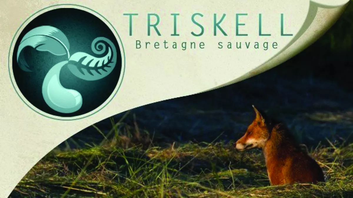 Bannière Triskell Bretagne sauvage Bannière Triskell Bretagne sauvage
