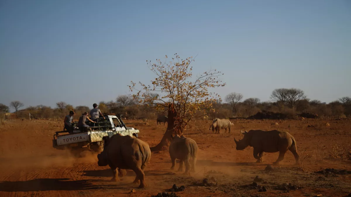Banijay France Productions UNE SAISON DANS LA SAVANE