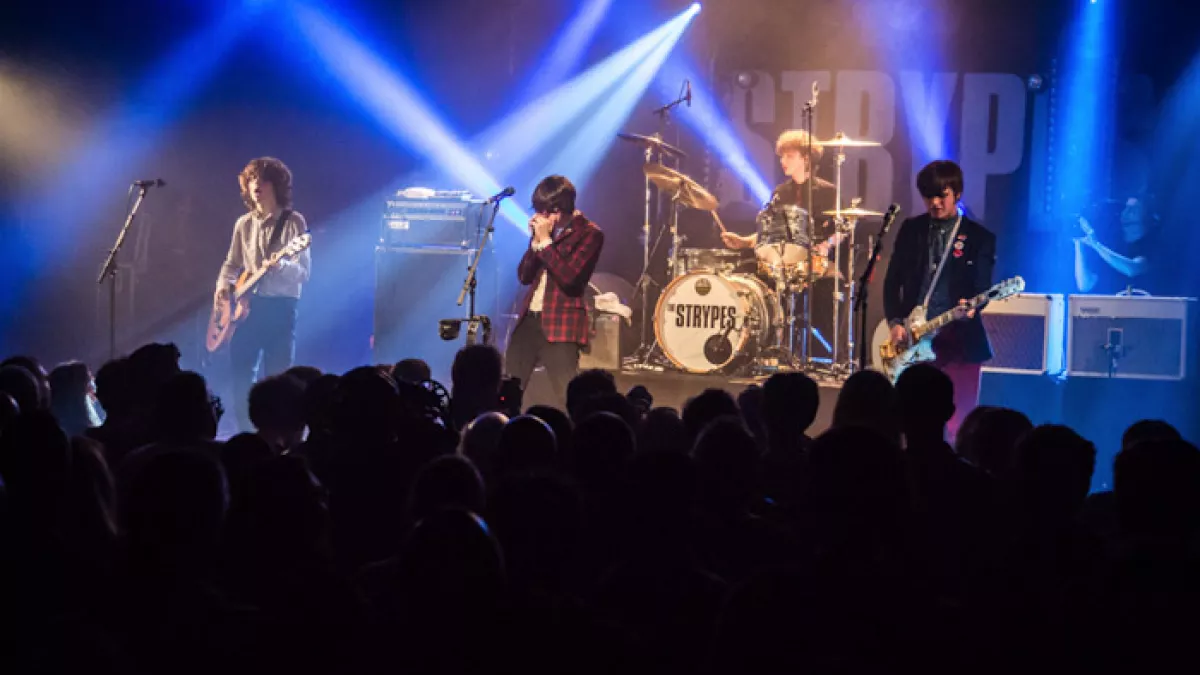 The Srtypes - Printemps de Bourges 2014 ©Marc Dos Santos The Strypes live au Printemps de Bourges 2014