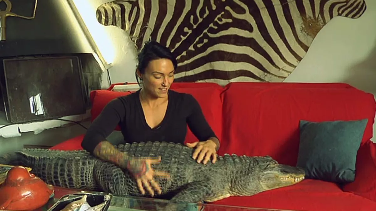 Fous d'animaux ! femme avec alligator