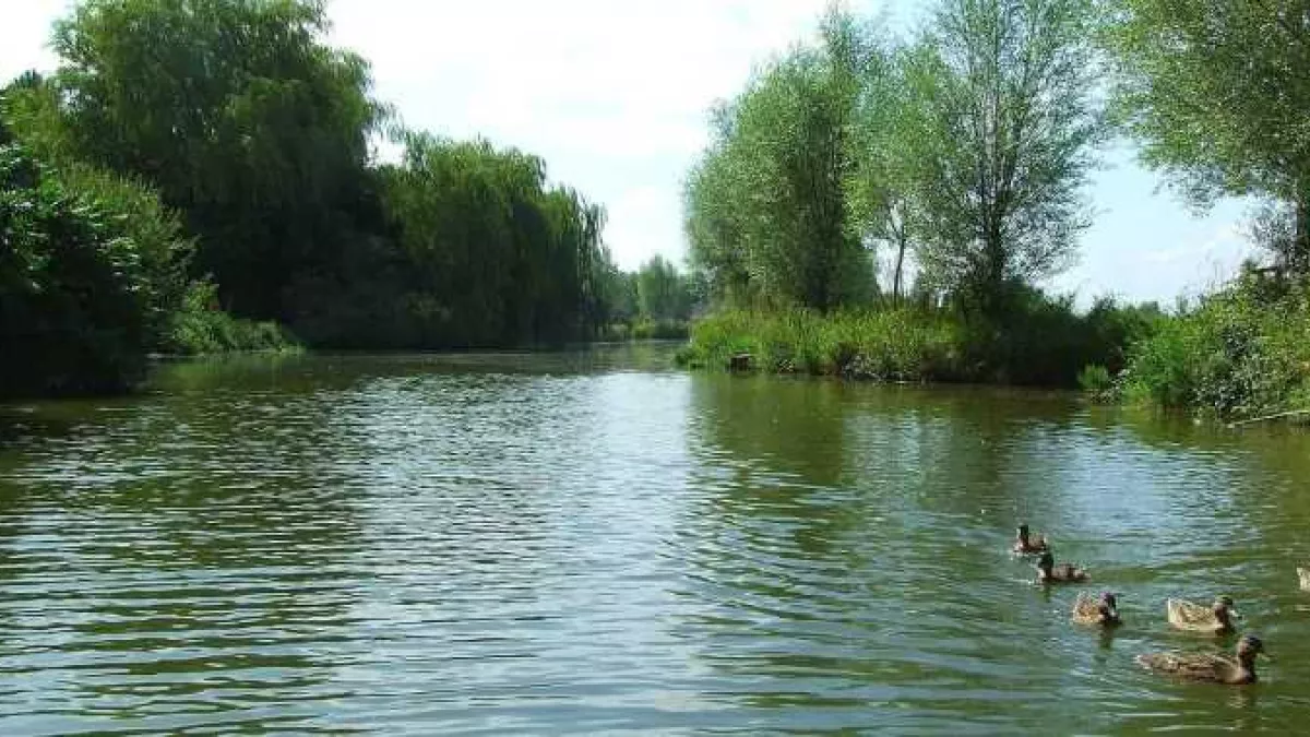 nature nature
