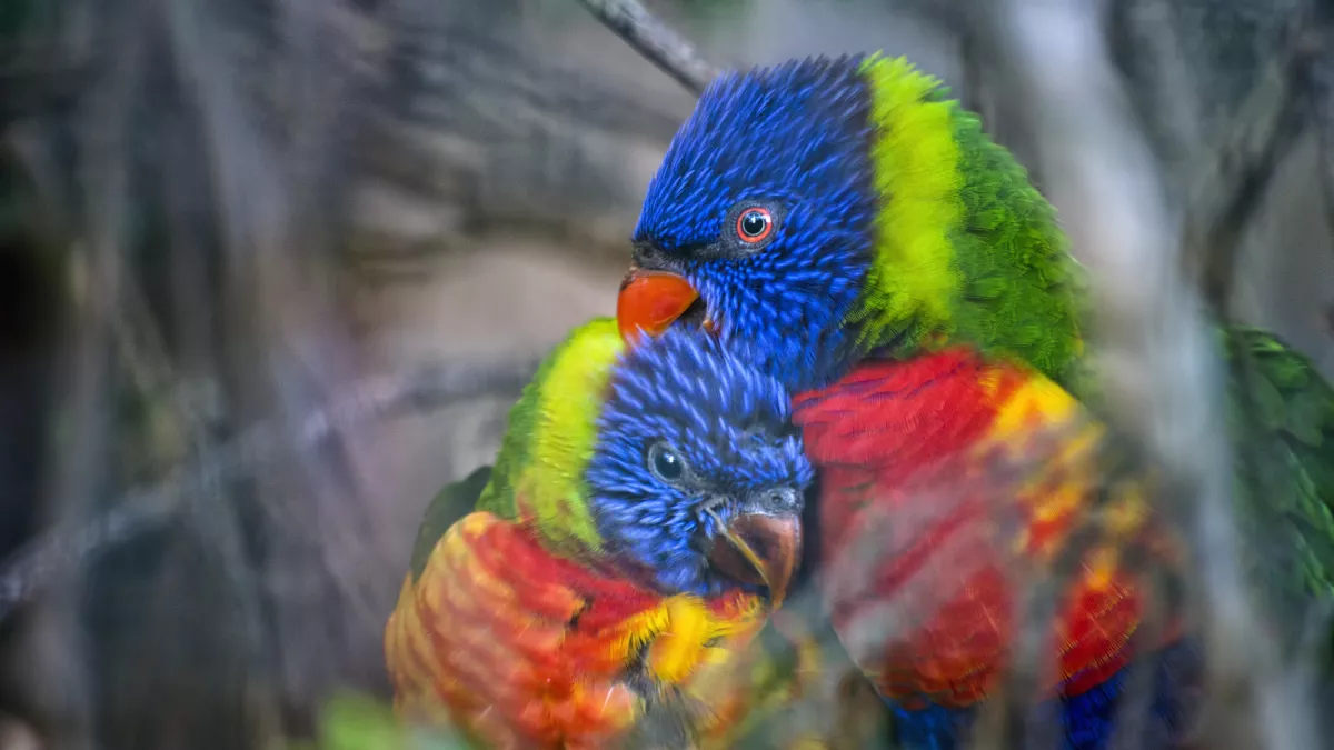 Walkerlee - Fotolia UNE SAISON AU ZOO