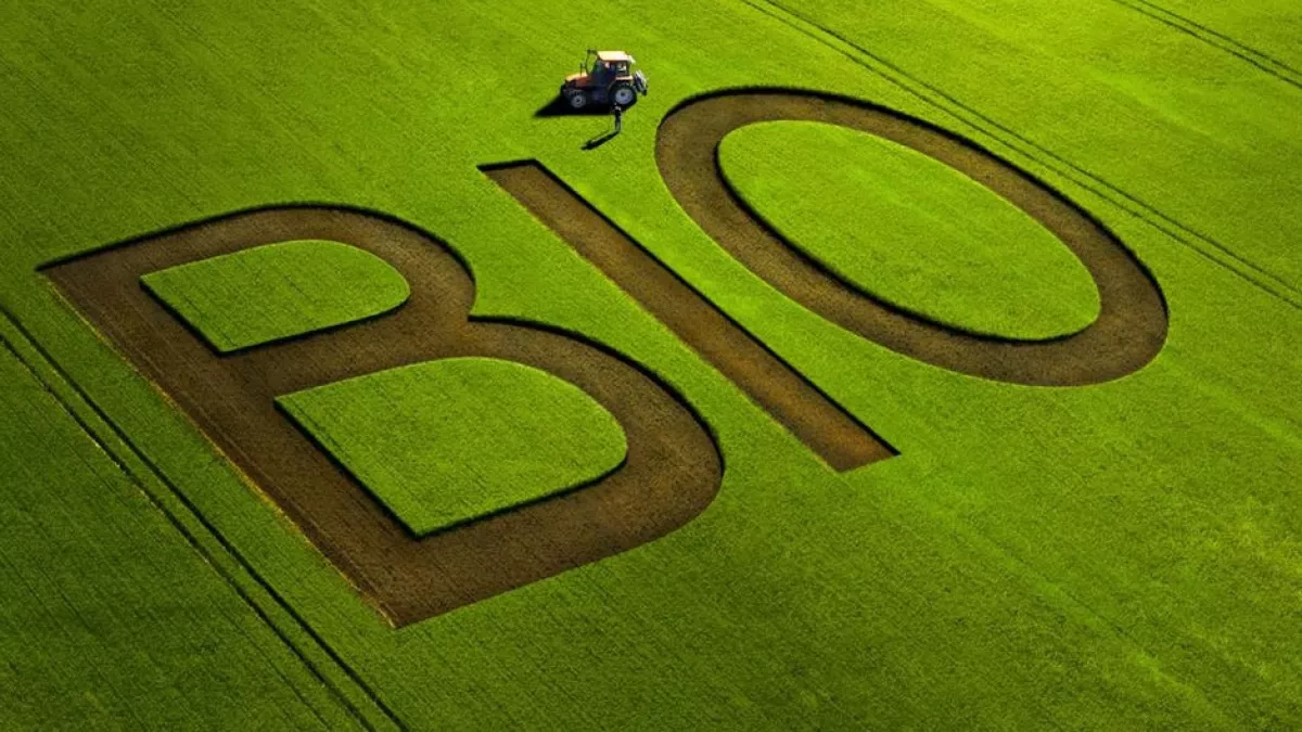le bio le bio