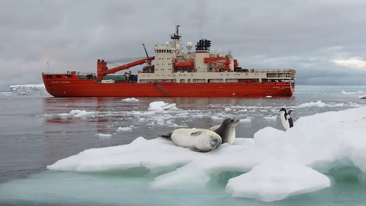 Antarctique © Brieuc Delbot Antarctique © Brieuc Delbot